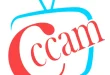 Buy cccam  110x75 - خرید سیسیکم؛ راهنمای انتخاب سرویس پایدار و مناسب