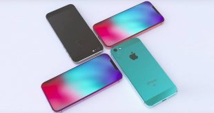 آیفون اس ای ۲ (SE2) در راه است؛ احتمال عرضه با نام آیفون XE iphone se2 xe 1 310x165 - آیفون اس ای ۲ (SE2) در راه است؛ احتمال عرضه با نام آیفون XE